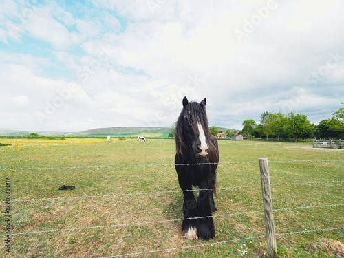 English countryside landscape and nature