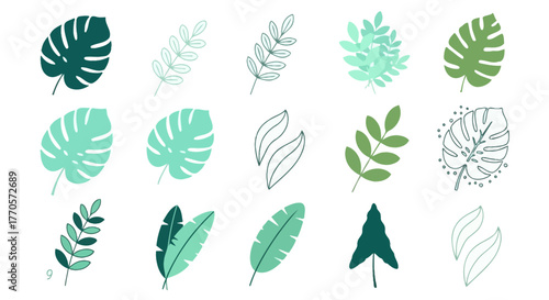 Set of various green tropical leaves in a flat vector style. Collection of exotic jungle foliage elements for posters and backgrounds