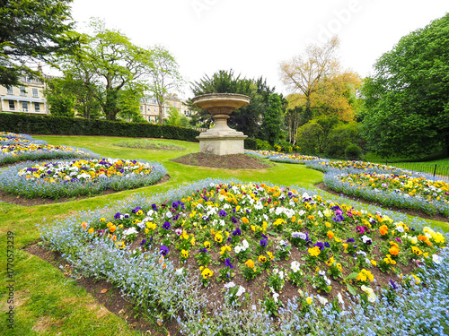 Beautiful flour at Victoria Park in Bath England