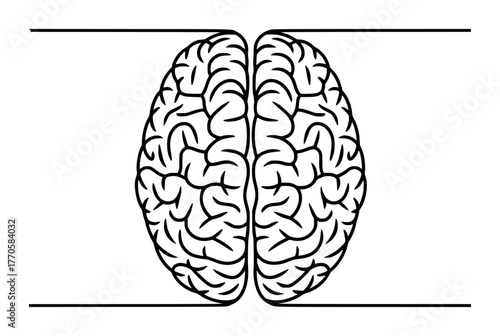 Stylized Outline of a Human Brain with Horizontal Lines