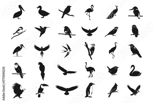 Collection of diverse bird silhouettes in various poses and species isolated on white background