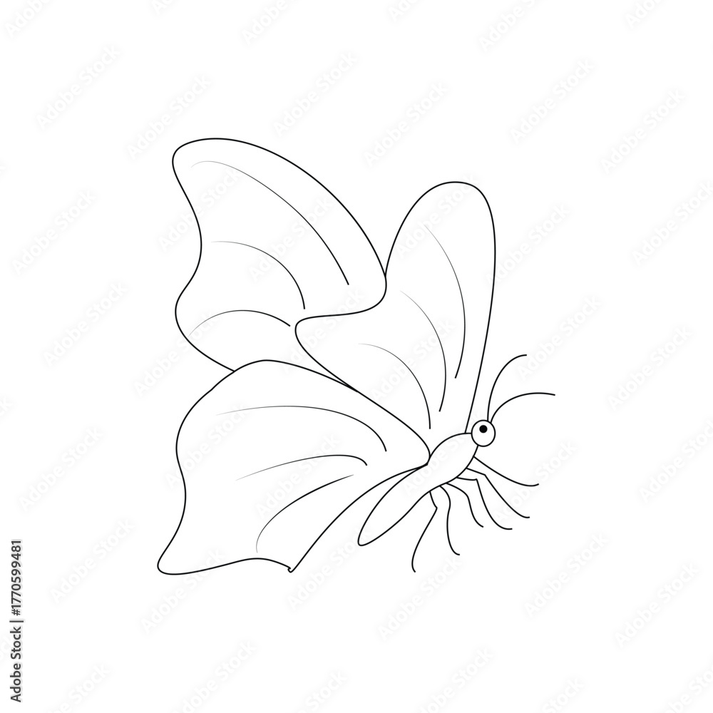 Fototapeta premium butterfly line art, butterfly
