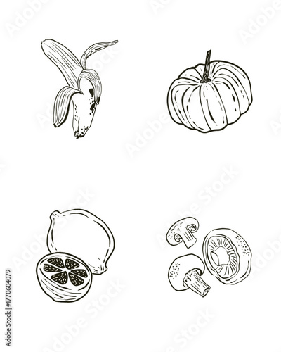 hand drawn vector illustration of vegetables