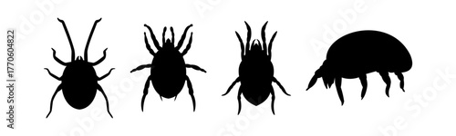 Silhouette mite variant in black and white