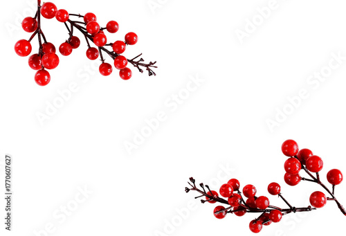 Red berries branches fir ornament frame isolated cutout object on transparent background .