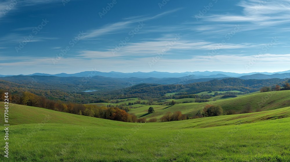 Fototapeta premium russia summer landscape - green fileds, the blue sky and white c