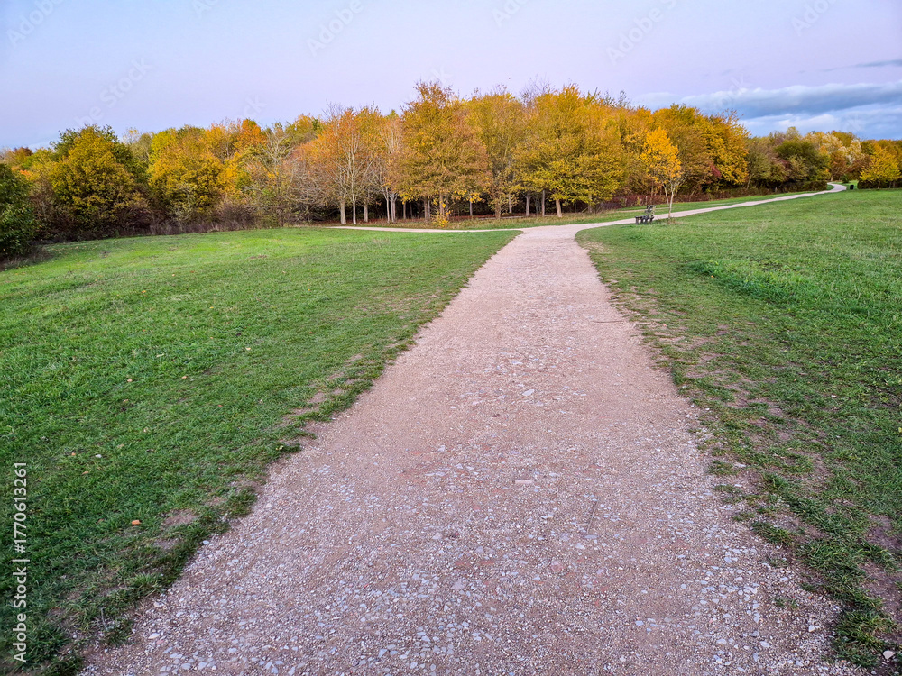 Fototapeta premium A landscape with trees in autumn color at Rushcliffe Country Park in Nottingham, UK.