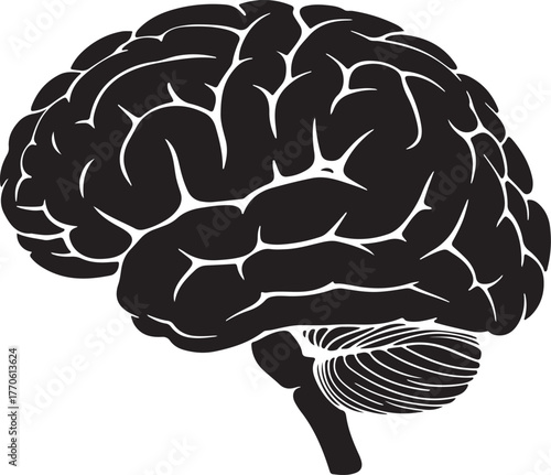 Detailed black and white illustration of the human brain showing intricate neural pathways and cerebral cortex