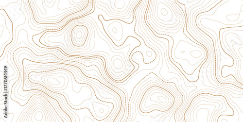 Geographic contour map with elevation lines. Detailed terrain visualization concept. Vector illustration of landscape elevations and natural relief.