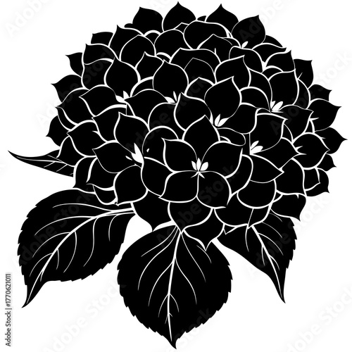 Black and white silhouette of a blooming hydrangea flower with leaves on a white background