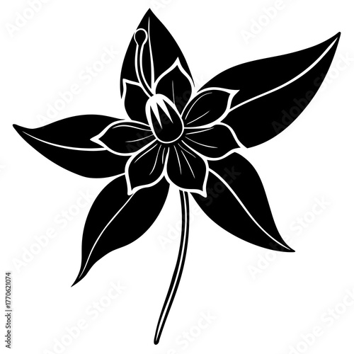 Stylized black silhouette of a delicate flower with five petals and stamens