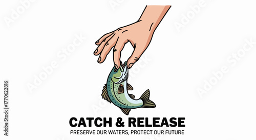 Catch and release fishing concept with transparent background