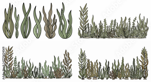 Lamb chops in plastic trays with price tags
