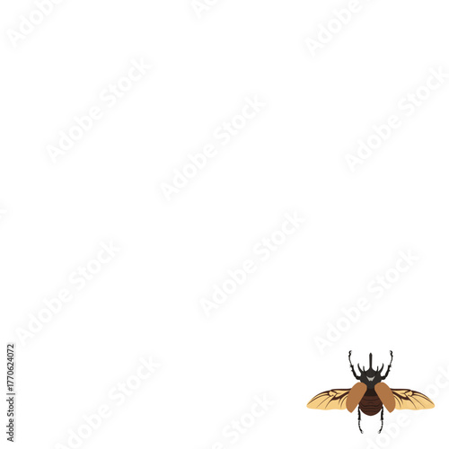 Horn beetle template background. Rhinoceros beetle banner. Copy space and negative space