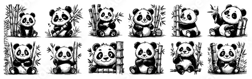 Happy panda portraits framed faces leaning on bamboo