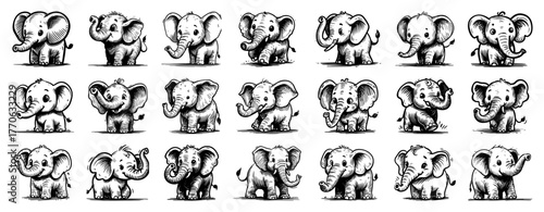 Baby elephant poses bundle 24 playful calf sketches