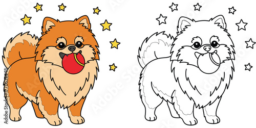 Cute Pomeranian Dog Cartoon Vector: Outline and Colored Versions for Coloring Book, Featuring Fluffy Pet Playing Fetch with a Ball and Stars.