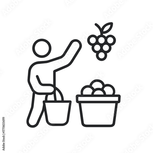 Minimal line icon of person harvesting grapes with basket and container, symbolizing vineyard work, grape picking, and wine production process