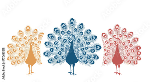 Three elegant, stylized peacocks with fanned tail feathers in shades of gold, blue, and red, standing proudly on a clean white background.