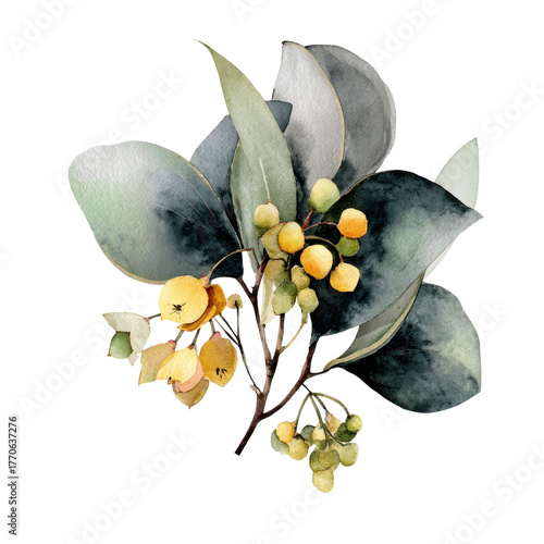 Green and yellow leaves on clear bg