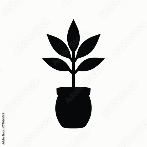 Large leaf houseplant minimal vector silhouette black pot design isolated