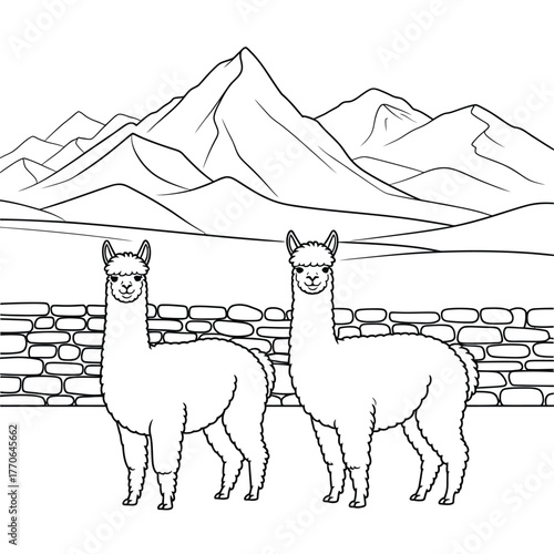 Two alpacas standing in front of a mountain range and stone wall
