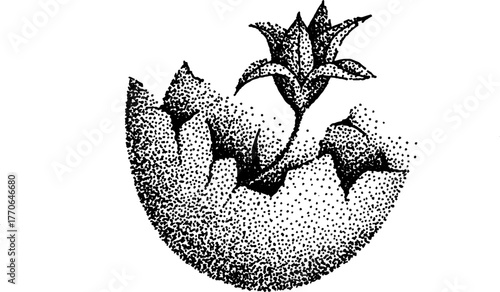 Cracked eggshell reveals emerging plant in black and white dotwork for artistic design