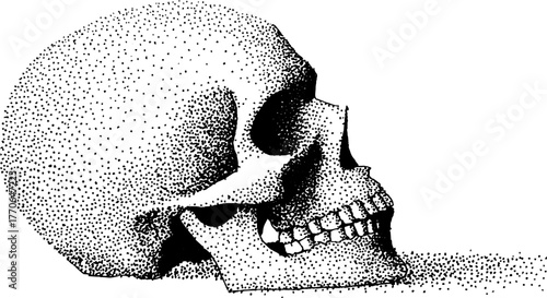Glowing crystal skull illustration in black and white dotwork for artistic design