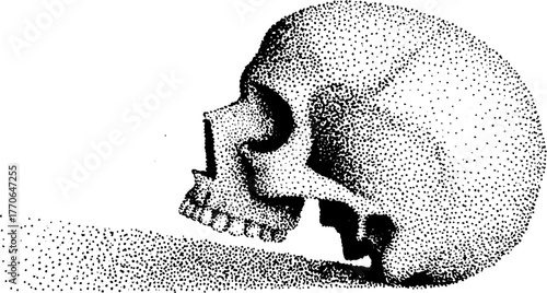 Mysterious glowing crystal skull in black and white design for artistic posters