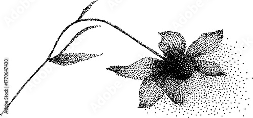 Vintage black and white dried flower illustration with delicate dotwork effect
