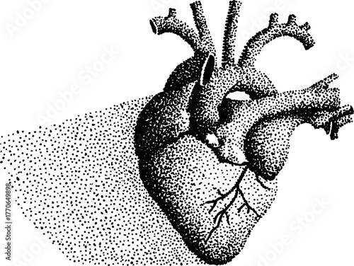 Abstract human heart in black and white with stipple effect for artistic design