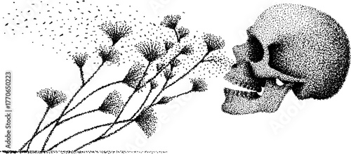 Black and white skull transformation with flowers - dotwork art for creative design