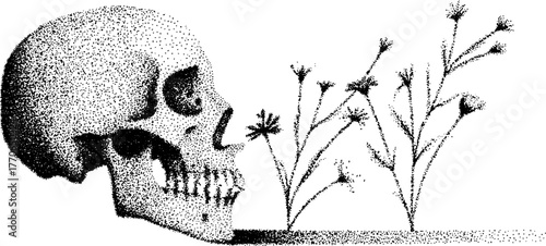 Black and white skull and flowers illustration with stipple effect for design