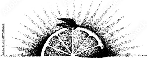 Transformation of lemon into rising sun in black and white dotwork design