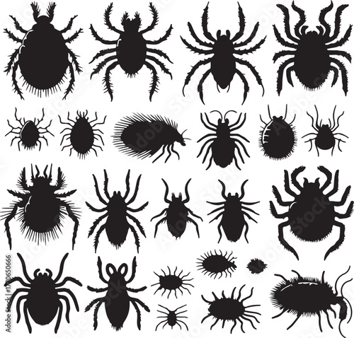 Set of silhouette mites animal transparent