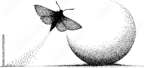 Moth and crescent moon art in vintage dotwork style for design and decoration