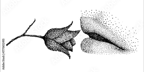 Black and white dotwork lips and rose illustration for vintage design
