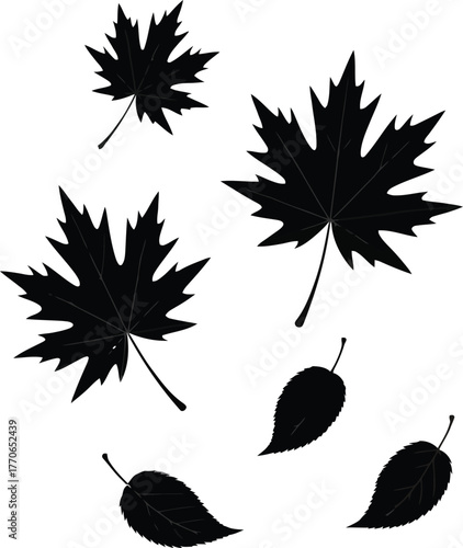 Black silhouette of a falling autumn leaf