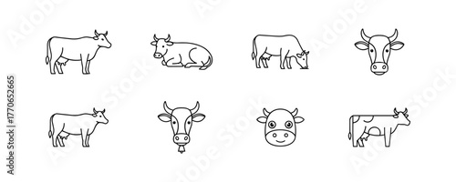 Cow line drawings set in black and white