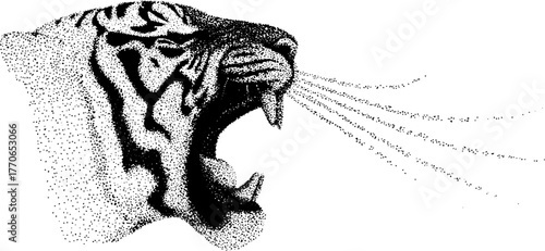Roaring tiger face in black and white dotwork illustration for wildlife enthusiasts and art decor