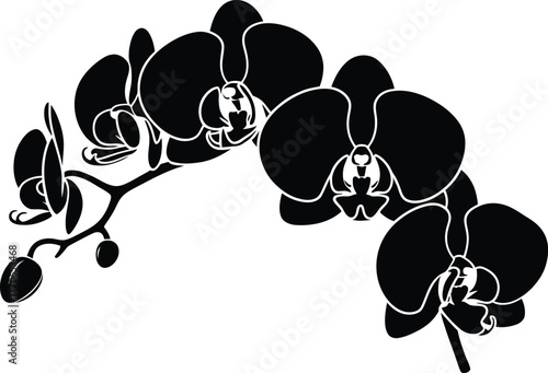 Elegant black silhouette orchid flower design