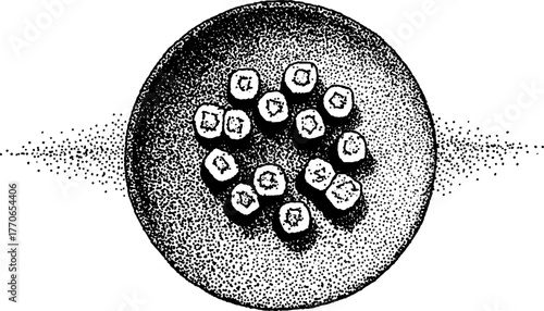 Roman plate with sushi roll in vintage effect black and white design for print or decor