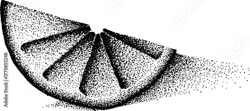 Black and white illustration of a dried orange slice with halftone texture for vintage design