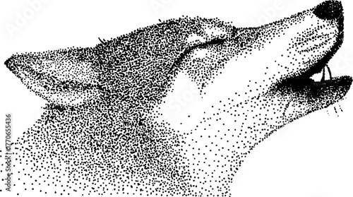 Snarling wolf close-up in black and white dotwork style for artistic design