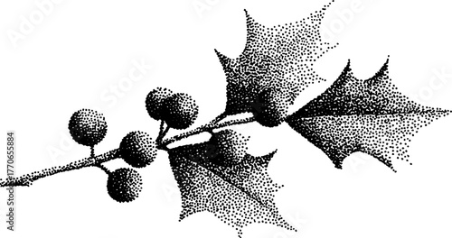 Vintage style holly sprig with berries design for holiday greeting cards