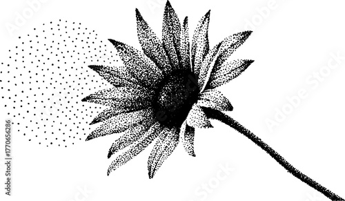 Surreal sunflower with eye detail in black and white for creative design
