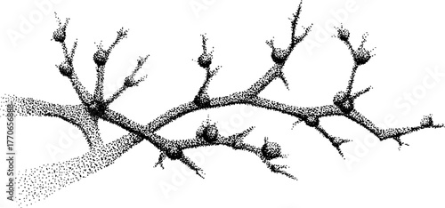 Black and white illustration of frosty twig with textured detail for winter design