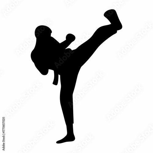 Dynamic silhouette of a martial artist executing a powerful high kick technique