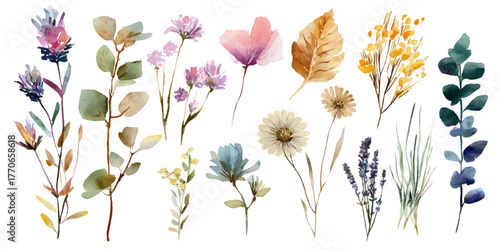 Collection of delicate dried flowers and botanicals in a variety of colors and textures