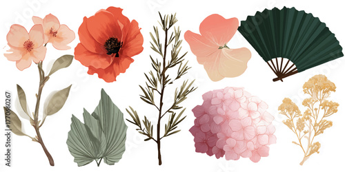 Artistic collection of delicate watercolor flowers botanical elements and a vintage fan